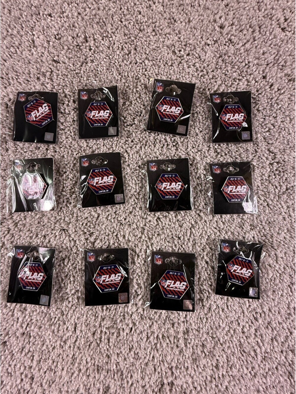 NFL Flag Champions Pin Canton, Ohio  2024 12 In Set